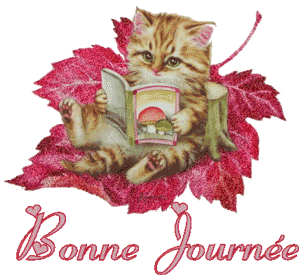 Gif animé bonne journée chat